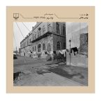مجموعه عکس بوشهر