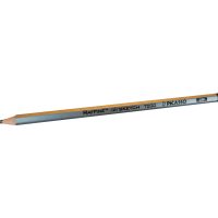 مداد طراحی نقره ای پیکاسو B2