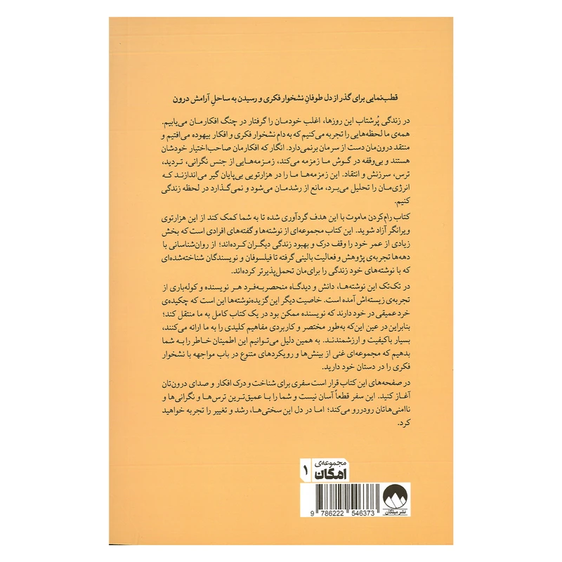 کتاب رام کردن ماموت چگونه به نشخوار فکری پایان دهیم